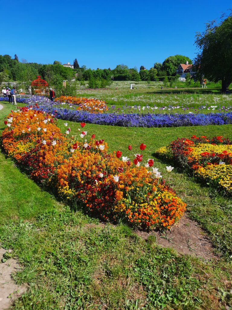 Villa Viva besucht die Landesgartenschau in Wangen